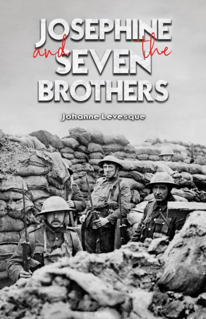 Cover for Johanne Levesque · Josephine and The Seven Brothers (Paperback Book) (2024)