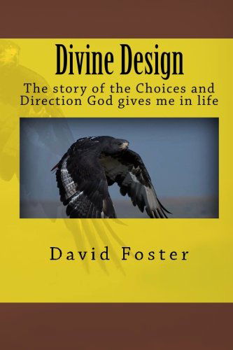 Cover for David Foster · Divine Design (Paperback Bog) (2011)