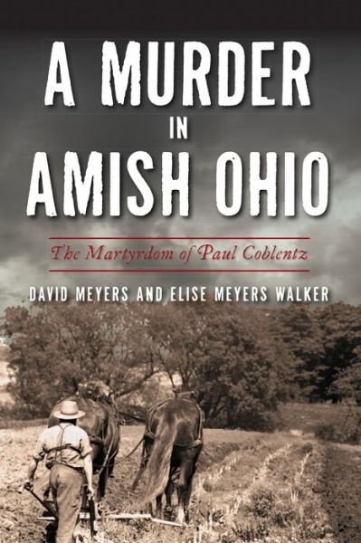 Cover for David Meyers · A Murder in Amish Ohio (Paperback Book) (2021)