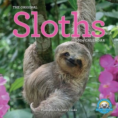 Original Sloths Wall Calendar 2024: The Ultimate Experts at Slowing Down - Lucy Cooke - Merchandise - Workman Publishing - 9781523519538 - 18. juli 2023