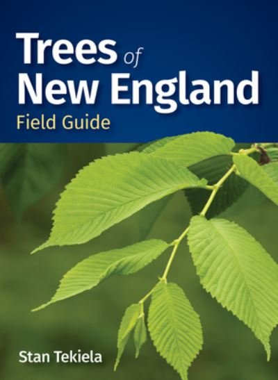 Cover for Stan Tekiela · Trees of New England Field Guide (Paperback Bog) (2024)