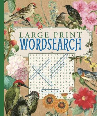 Cover for Eric Saunders · Large Print Wordsearch (Paperback Book) (2019)