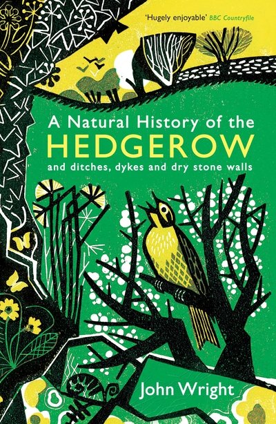 Cover for John Wright · A Natural History of the Hedgerow: and ditches, dykes and dry stone walls (Paperback Bog) [Main edition] (2017)