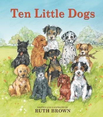 Ten Little Dogs - Ruth Brown - Bücher - Scallywag Press - 9781912650538 - 1. April 2021
