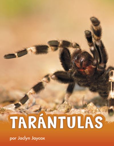 Cover for Jaclyn Jaycox · Tarantulas (Hardcover Book) (2020)