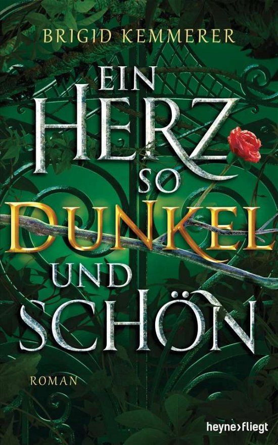 Cover for Brigid Kemmerer · Ein Herz so dunkel und schön (Gebundenes Buch) (2021)