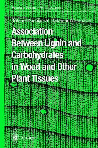 Cover for Tetsuo Koshijima · Association Between Lignin and Carbohydrates in Wood and Other Plant Tissues - Springer Series in Wood Science (Paperback Book) [Softcover reprint of hardcover 1st ed. 2003 edition] (2010)