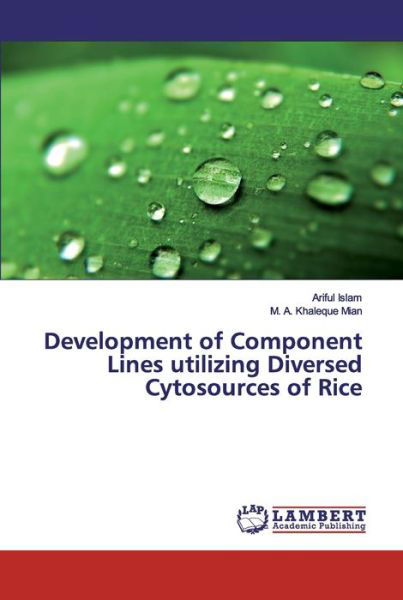 Cover for Islam · Development of Component Lines ut (Book) (2019)