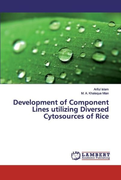 Cover for Islam · Development of Component Lines ut (Buch) (2019)