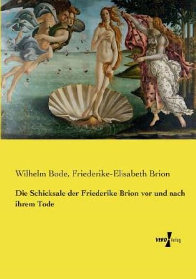 Cover for Bode · Die Schicksale der Friederike Brio (Book) (2019)