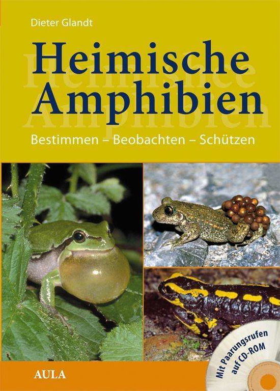 Cover for Glandt · Heimische Amphibien,m.MP3-CD-ROM (Book)