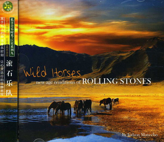 Wild Horses: New Age Renditions of Rolling Stones - Judson Mancebo - Music - IMT - 9787799440538 - August 13, 2013