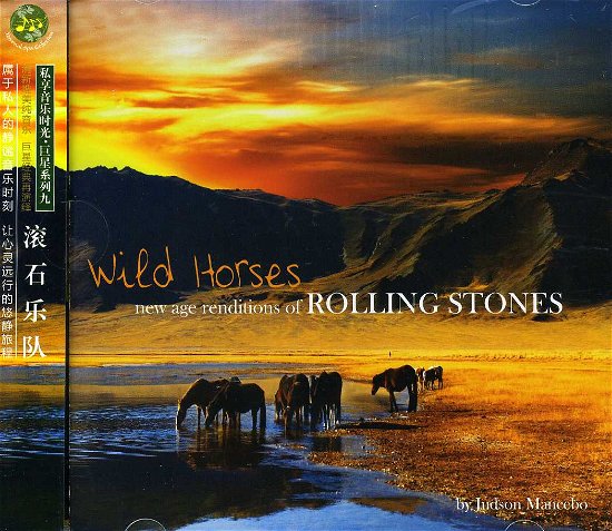 Cover for Judson Mancebo · Wild Horses: New Age Renditions of Rolling Stones (CD) (2013)