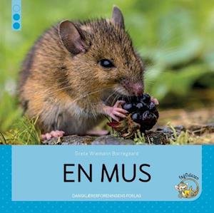 Cover for Grete Wiemann Borregaard · FAGFIDUSEN: En mus (Poketbok) [1:a utgåva] (2024)