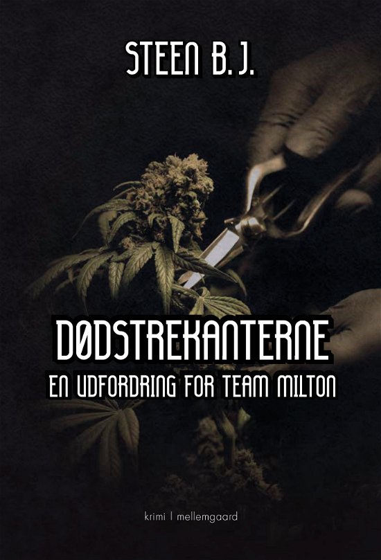 Cover for Steen B.J. · En udfordring for Team Milton: Dødstrekanterne (Sewn Spine Book) [1st edition] (2024)