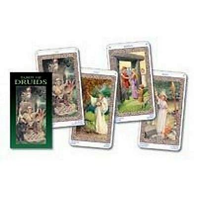 Tarot of the Druids - Bepi Vigna - Books - Lo Scarabeo - 9788883953538 - February 9, 2004