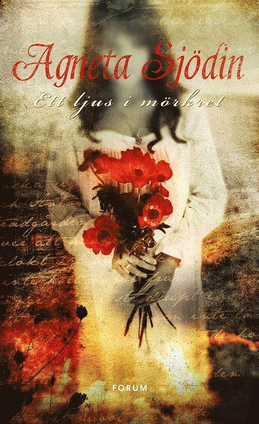 Cover for Agneta Sjödin · Ett ljus i mörkret (ePUB) (2009)