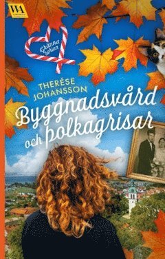 Cover for Therése Johansson · Byggnadsvård och polkagrisar (Paperback Book) (2023)