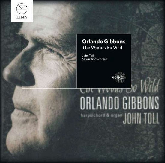 Cover for Gibbons / Toll,john · Woods So Wild (CD) (2002)