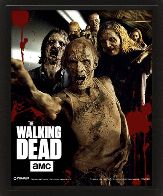 Cover for Walking Dead (The) · Walking Dead (The) - Walkers (Poster Lenticolare 10x8&quot;) (MERCH)