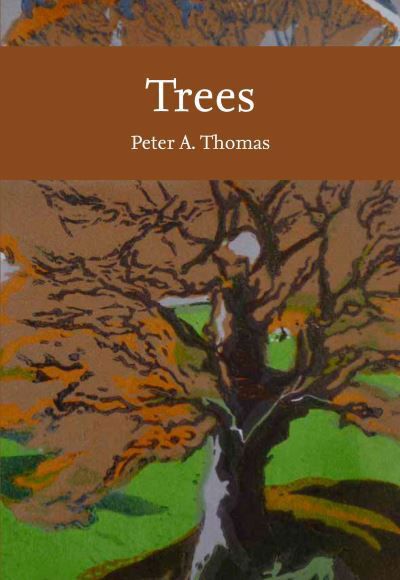Trees - Collins New Naturalist Library - Peter Thomas - Livros - HarperCollins Publishers - 9780008304539 - 28 de abril de 2022