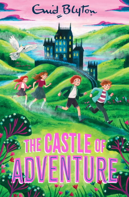 Cover for Enid Blyton · The Castle of Adventure (Paperback Book) (2026)