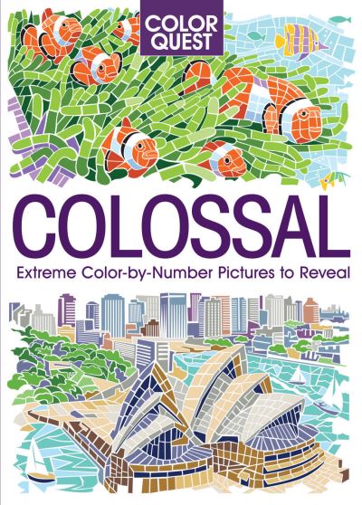 Cover for Joanna Webster · Color Quest: Colossal (Taschenbuch) (2021)