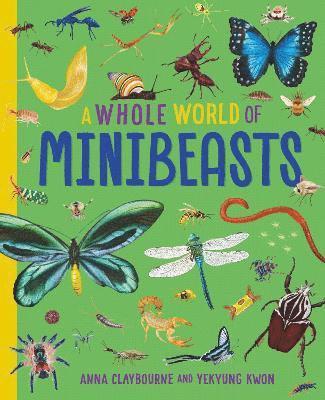 A Whole World of...: Minibeasts - A Whole World of... - Anna Claybourne - Bücher - Hachette Children's Group - 9781445188539 - 23. Oktober 2025