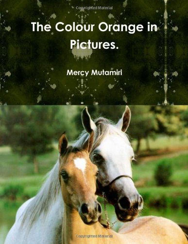 Cover for Mercy Mutamiri · The Colour Orange in Pictures. (Paperback Book) (2011)