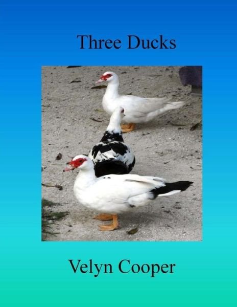 Cover for Velyn Cooper · Three Ducks (Paperback Book) (2015)