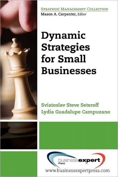Cover for Sviatoslav Steve Seteroff · Dynamic Strategies For Small Businesses (Pocketbok) (2010)