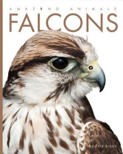 Cover for Kate Riggs · Falcons (Hardcover Book) (2017)