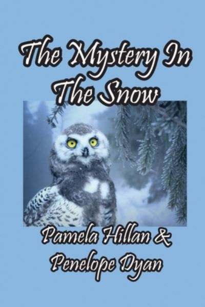 Cover for Pamela Hillan · The Mystery In The Snow (Paperback Book) (2021)