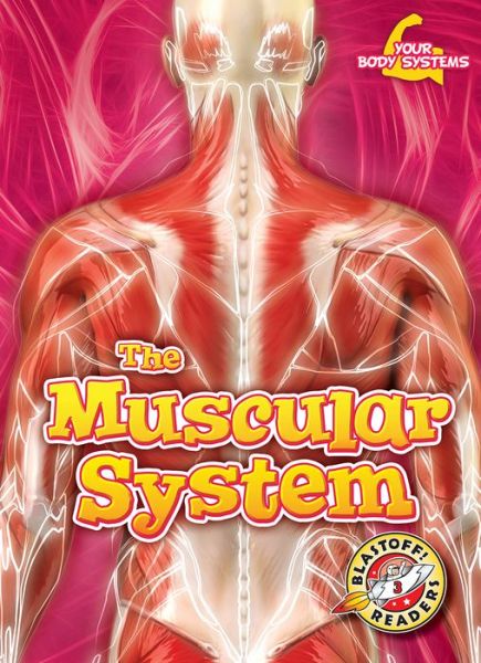 Cover for Rebecca Pettiford · Muscular System (Book) (2019)