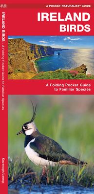 Cover for James Kavanagh · Ireland Birds: A Folding Pocket Guide to Familiar Species - Wildlife and Nature Identification (Pamphlet) [2nd edition] (2020)