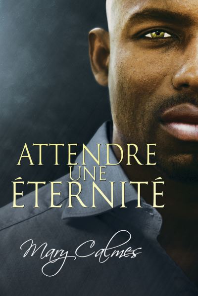 Attendre une ternit - La Voute 2 - Mary Calmes - Książki - Dreamspinner Press - 9781641083539 - 30 listopada 2021