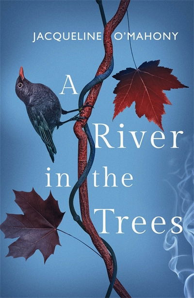 Cover for Jacqueline O'Mahony · A River in the Trees (Paperback Book)