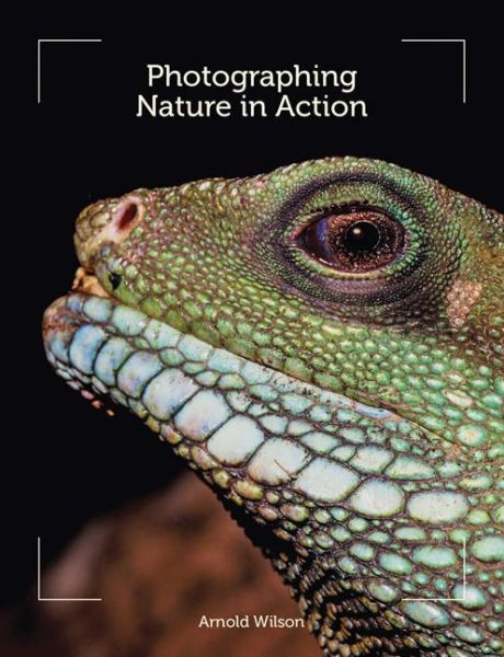 Cover for Arnold Wilson · Photographing Nature in Action (Pocketbok) (2013)