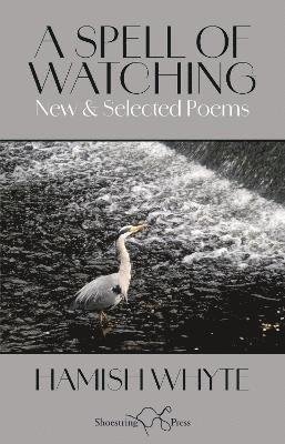 A Spell of Watching: New and Selected Poems - Hamish Whyte - Boeken - Shoestring Press - 9781915553539 - 21 april 2024