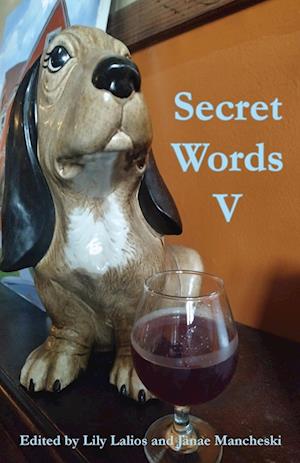 Cover for Lily Lalios · Secret Words (Book) (2023)