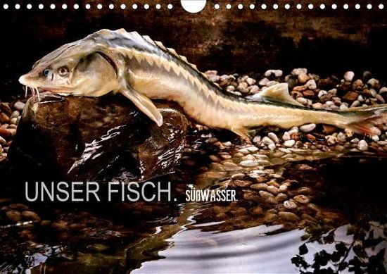 Cover for Morgenstern · UNSER FISCH. SÜßWASSER. (Wa (Book)