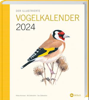 Cover for Niklas Aronsson · Der illustrierte Vogelkalender 2024 (Book) (2023)