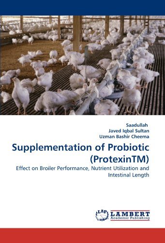 Cover for Uzman Bashir Cheema · Supplementation of Probiotic (Protexintm): Effect on Broiler Performance, Nutrient Utilization and Intestinal Length (Paperback Bog) (2010)