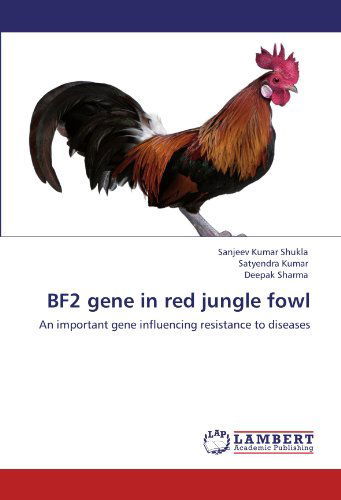 Bf2 Gene in Red Jungle Fowl: an Important Gene Influencing Resistance to Diseases - Deepak Sharma - Böcker - LAP LAMBERT Academic Publishing - 9783848497539 - 19 april 2012