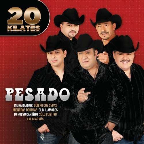 Cover for Pesado · 20 Kilates (CD) (1990)