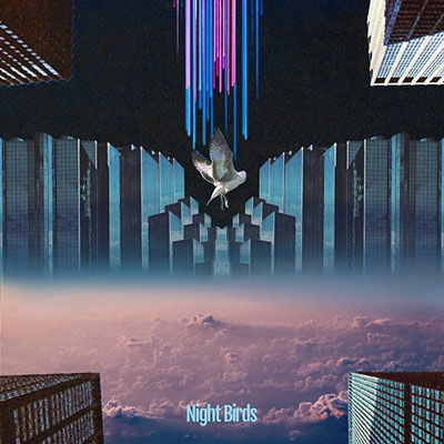 Cover for Tokimeki Records · Night Birds (feat.Froya &amp; Miyawaki Shouhei) / Invitations (feat.Froya &amp; Miyawaki Shouhei) (LP) [Japan Import edition] (2021)