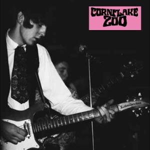 Cover for Cornflake Zoo · Knights Of Fuzz (LP) (2025)