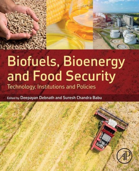 Cover for Biofuels, Bioenergy and Food Security: Technology, Institutions and Policies (Taschenbuch) (2019)