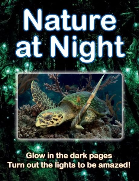 Cover for Lisa Regan · Nature at Night (Paperback Bog) (2020)