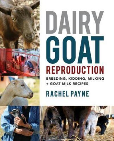 Cover for Rachel Payne · Dairy Goat Reproduction : Breeding, Birthing, and Milking + Goat Milk Recipes (Paperback Book) (2018)